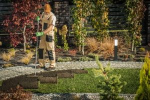 Hedge Cutting in Inverness